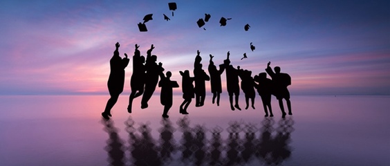 沈阳农业大学在职研究生可以网络授课吗?